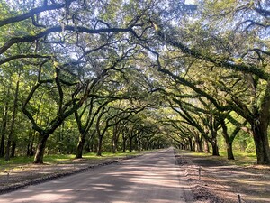 dirt road