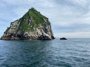 rock island 