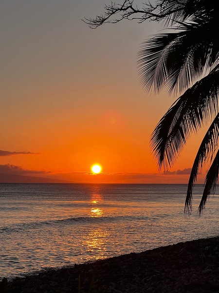 tropical sunset  Print