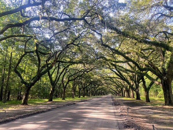 dirt road Print