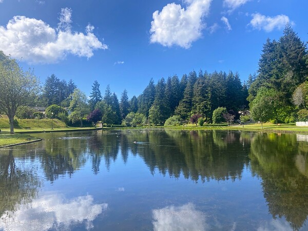 lake reflection  Print