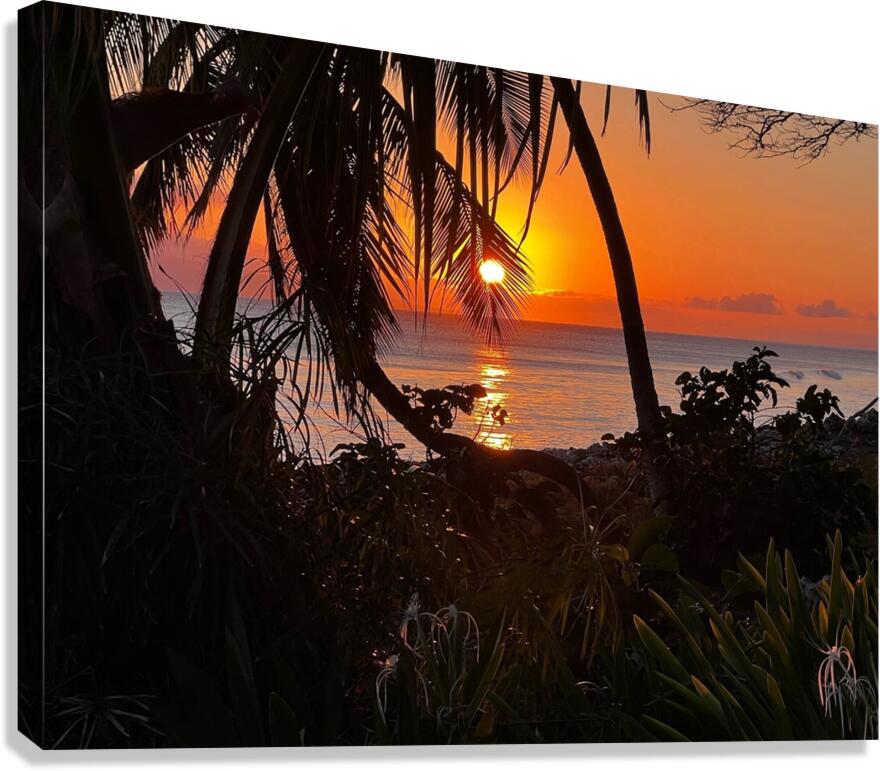 tropical sunset  Canvas Print