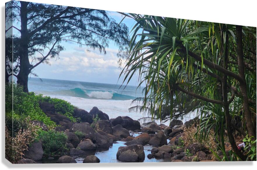  11 Canvas Print