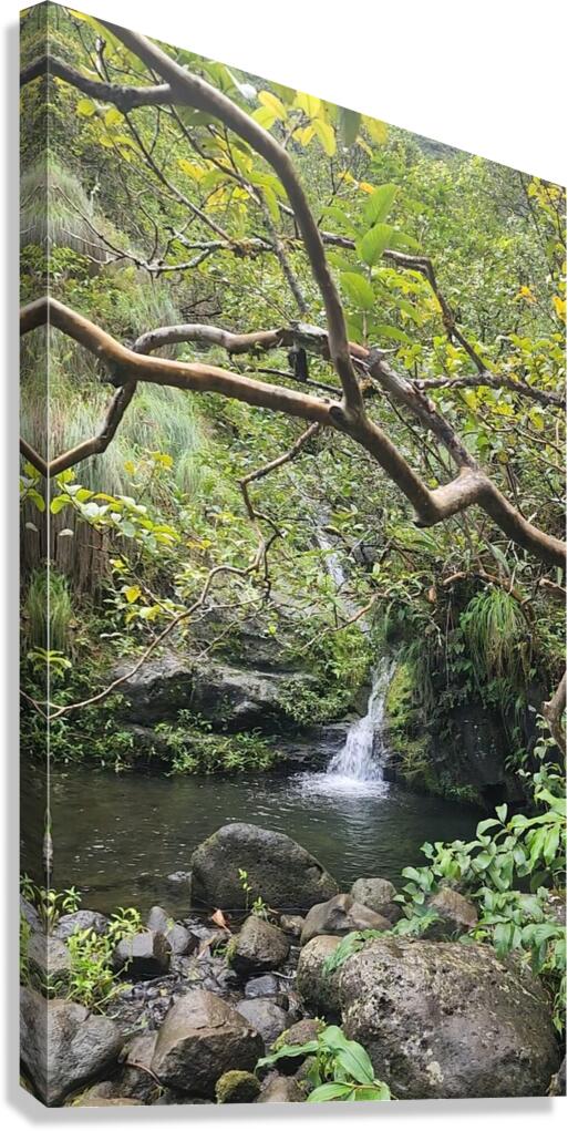 Water pool  Canvas Print