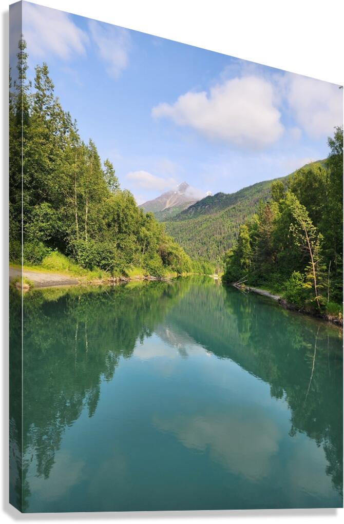 Forward  Canvas Print