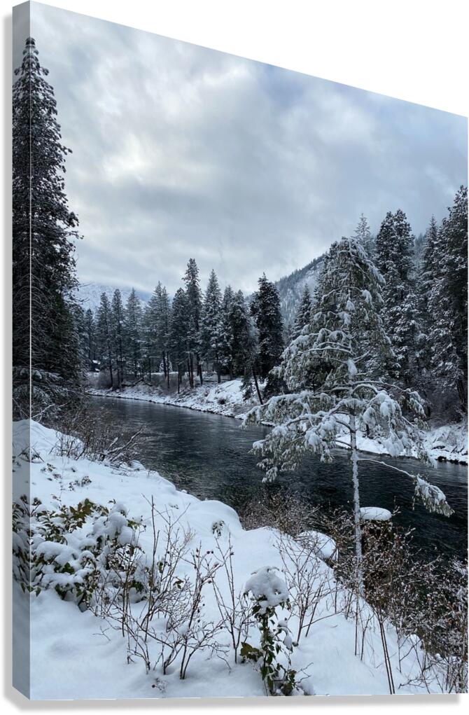 snowy creek  Canvas Print