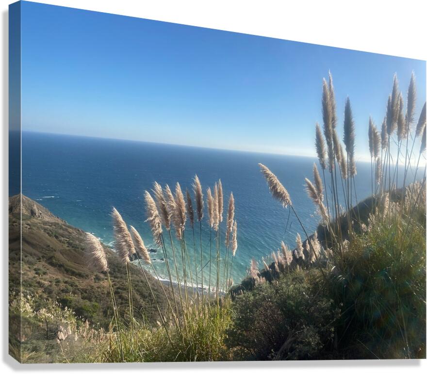 hill Canvas Print