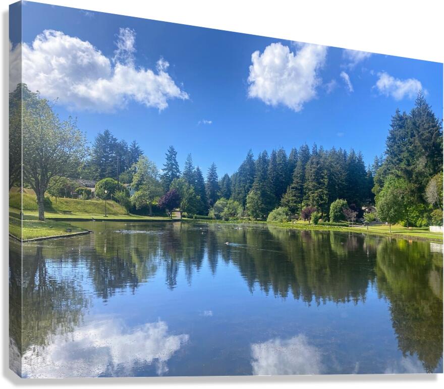 lake reflection  Canvas Print