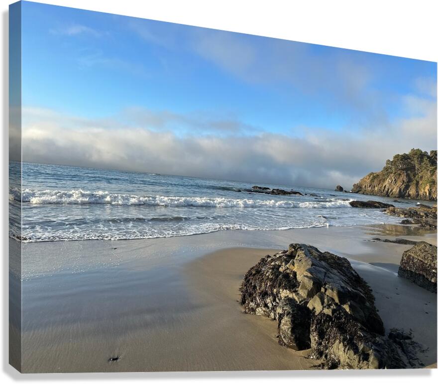 rocky beach  Canvas Print