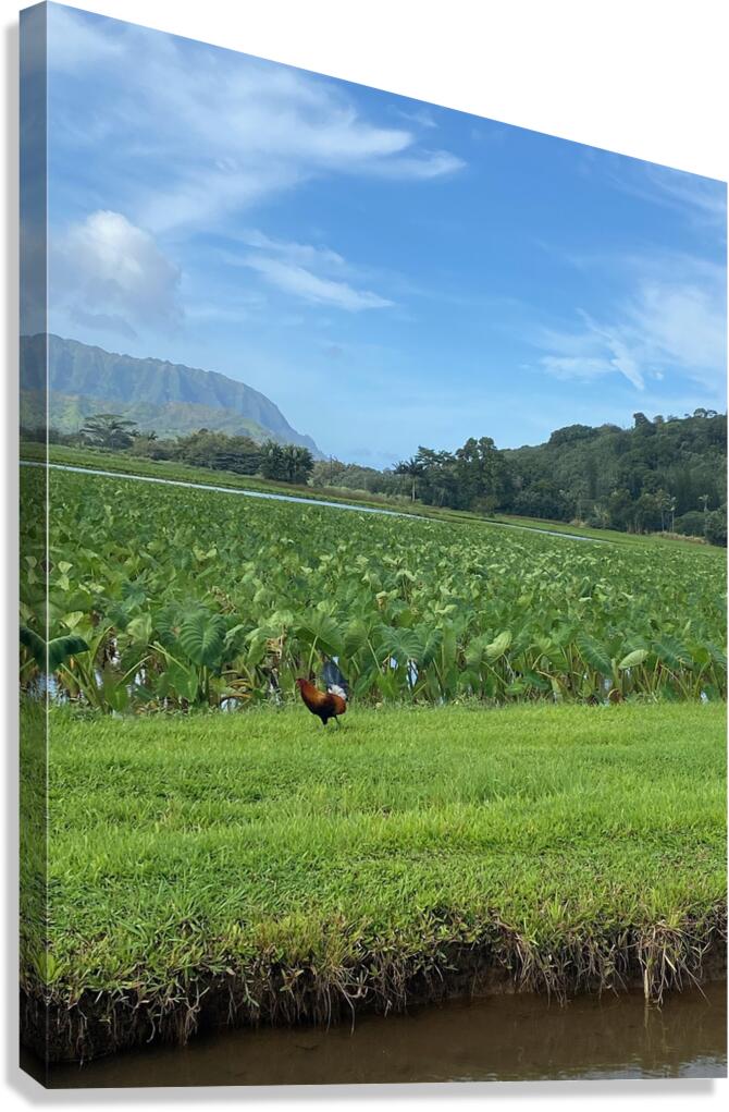 44852 Canvas Print