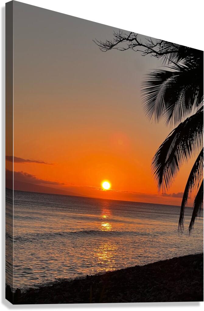 tropical sunset  Canvas Print