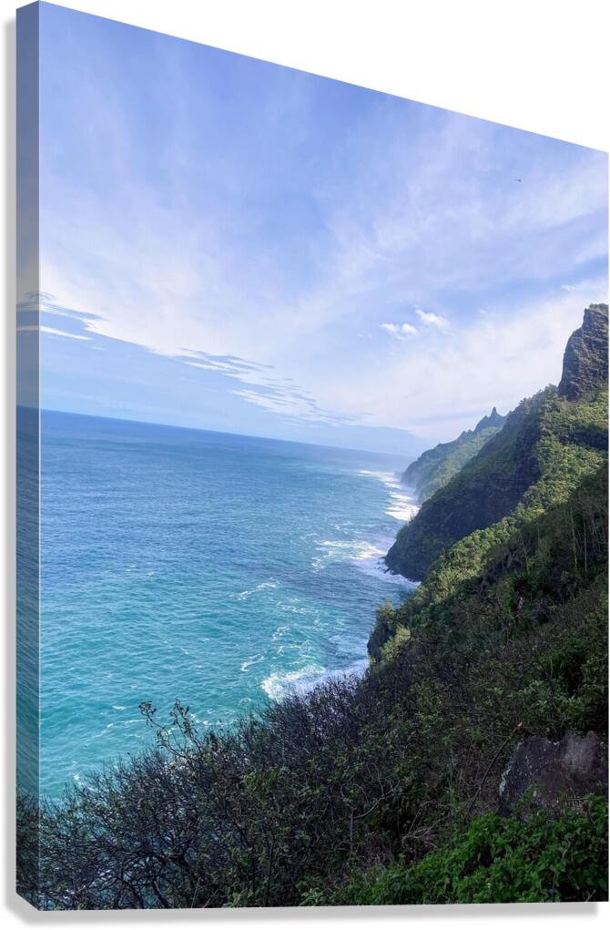 ocean cliff  Canvas Print