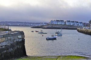 Safe Harbor