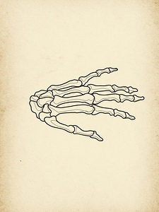Skeleton Hand