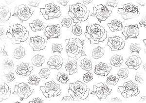 Rose pattern