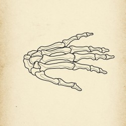 Skeleton Hand