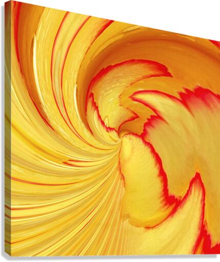 Plume tulipe Canvas Print