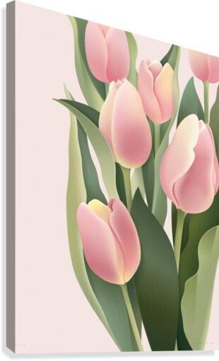 tulip Canvas Print