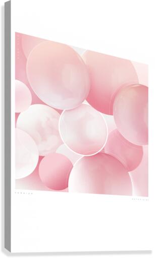 somnium Canvas Print