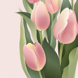 tulip