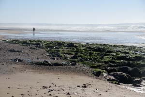 Seul sur le sable
