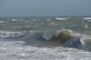une vague idee d eau