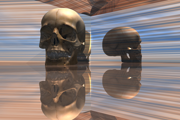 Sapiens Print