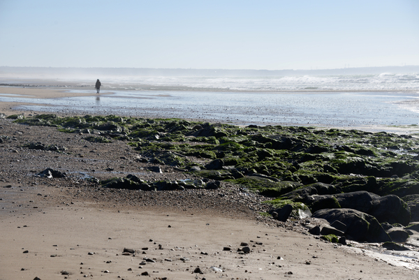 Seul sur le sable by ch Ragaine