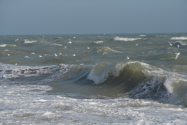 une vague idee d eau Print