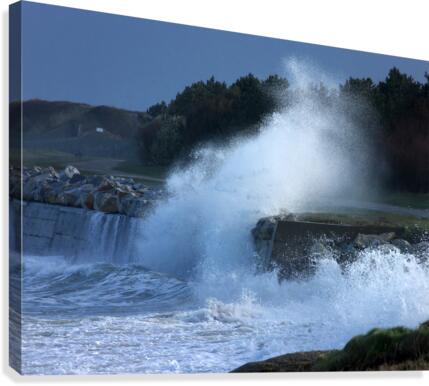 Splash Canvas Print