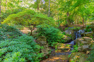Paradise Garden