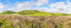 Untouched Hills