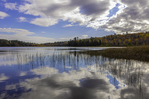 Fall Reflections Print