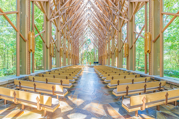 Natures Chapel Print