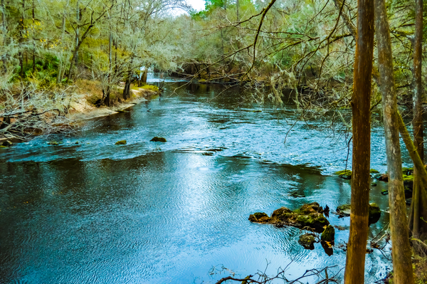  Santa Fe River  by Hemingway Natural Photography