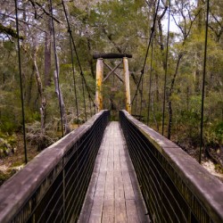 Old Bridge 