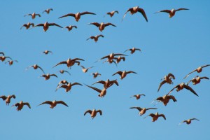 AdriaanPrinsloo 4488