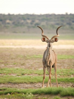 AdriaanPrinsloo 6071 2