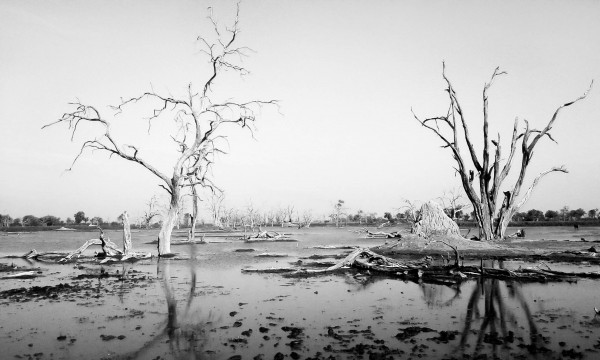 AdriaanPrinsloo 103951 by Adriaan Prinsloo