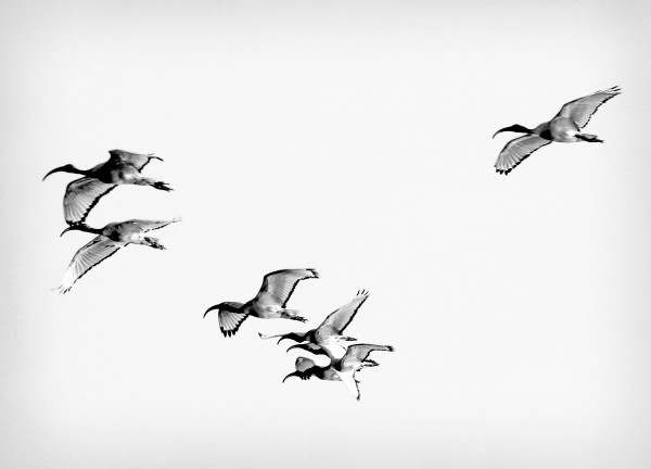 AdriaanPrinsloo 13001 by Adriaan Prinsloo