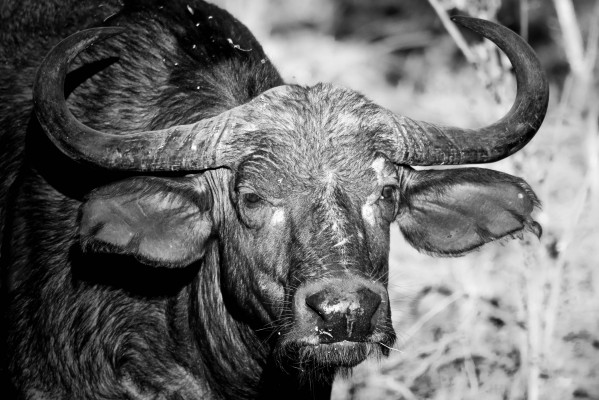 AdriaanPrinsloo 17077 by Adriaan Prinsloo