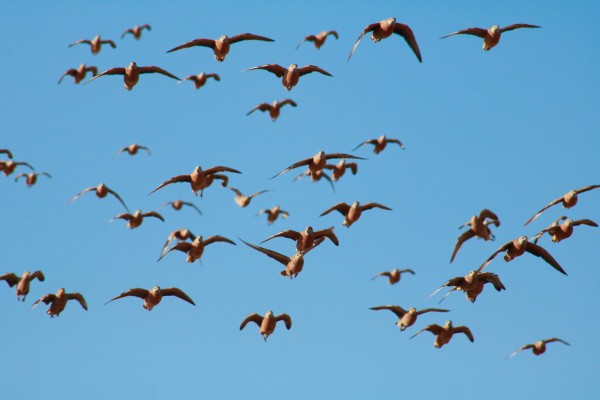 AdriaanPrinsloo 4488 by Adriaan Prinsloo