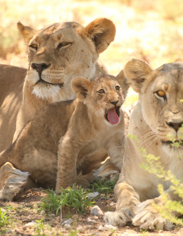 AdriaanPrinsloo 6659 by Adriaan Prinsloo