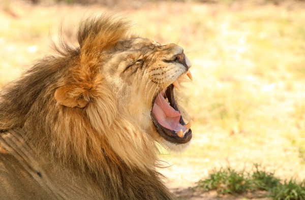 AdriaanPrinsloo 6851 2 by Adriaan Prinsloo