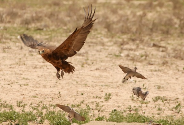 AdriaanPrinsloo 7140 2 by Adriaan Prinsloo