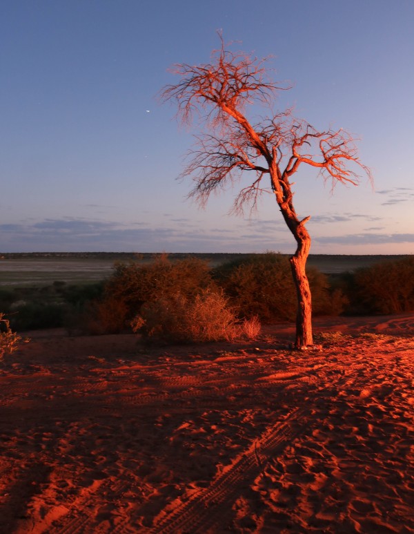 AdriaanPrinsloo 7215 by Adriaan Prinsloo