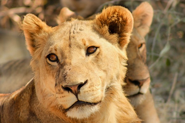 AdriaanPrinsloo 7888 by Adriaan Prinsloo