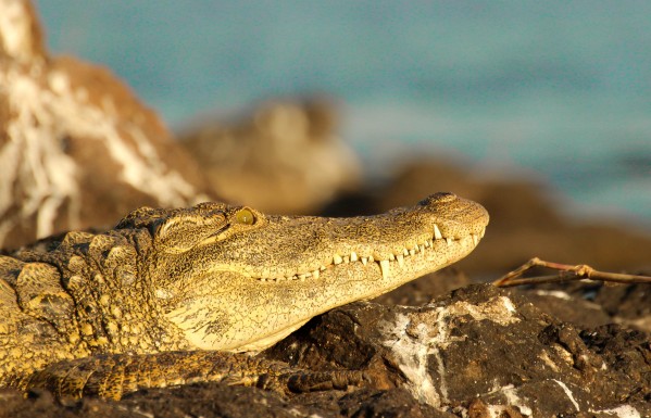 AdriaanPrinsloo 8074 by Adriaan Prinsloo