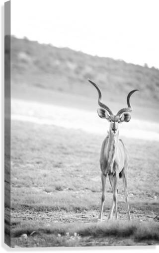 AdriaanPrinsloo 6071 Canvas Print