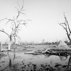 AdriaanPrinsloo 103951